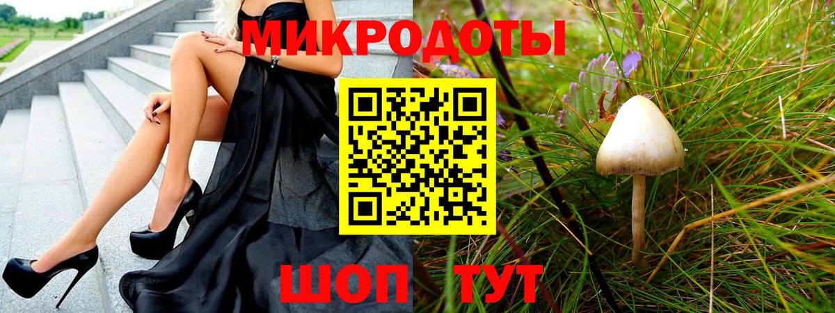 Псилоцибиновые грибы мицелий Благовещенск