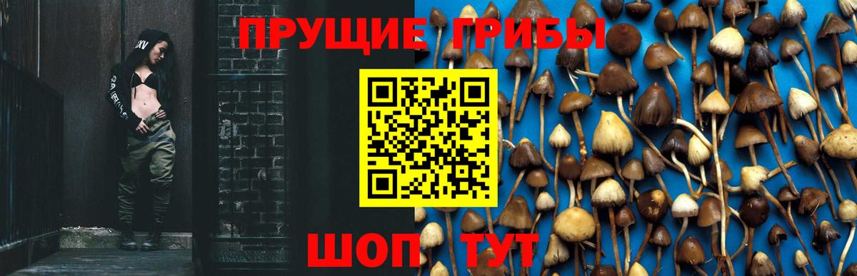 Псилоцибиновые грибы GOLDEN TEACHER  Вход с VPN  Галлюциногенные грибы Psilocybe  Благовещенск 